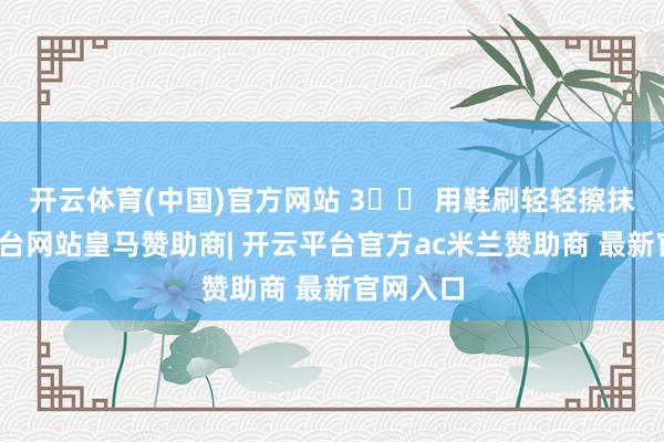 开云体育(中国)官方网站 3️⃣ 用鞋刷轻轻擦抹-开云平台网站皇马赞助商| 开云平台官方ac米兰赞助商 最新官网入口